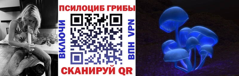 Псилоцибиновые грибы прущие грибы  Купить закладки  Медногорск 