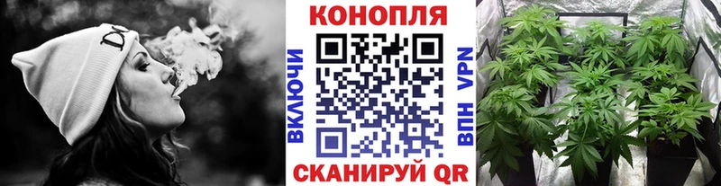 Купить закладки  Медногорск  Марихуана планчик 